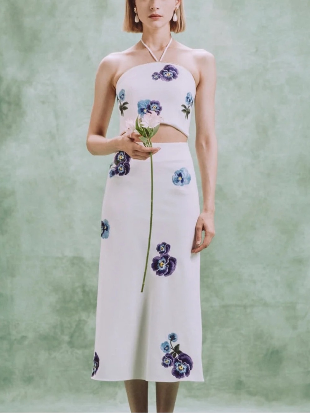 ROSEWATER HOUSE SET
